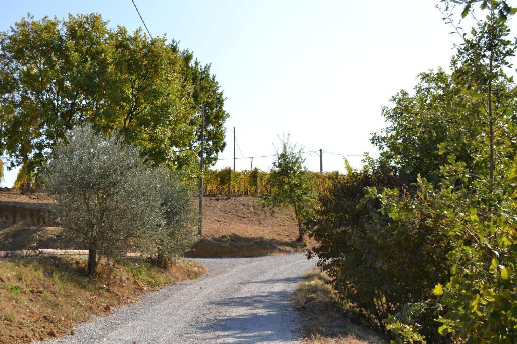 Agriturismo Costa Dei Platani Acqui Terme Dış mekan fotoğraf