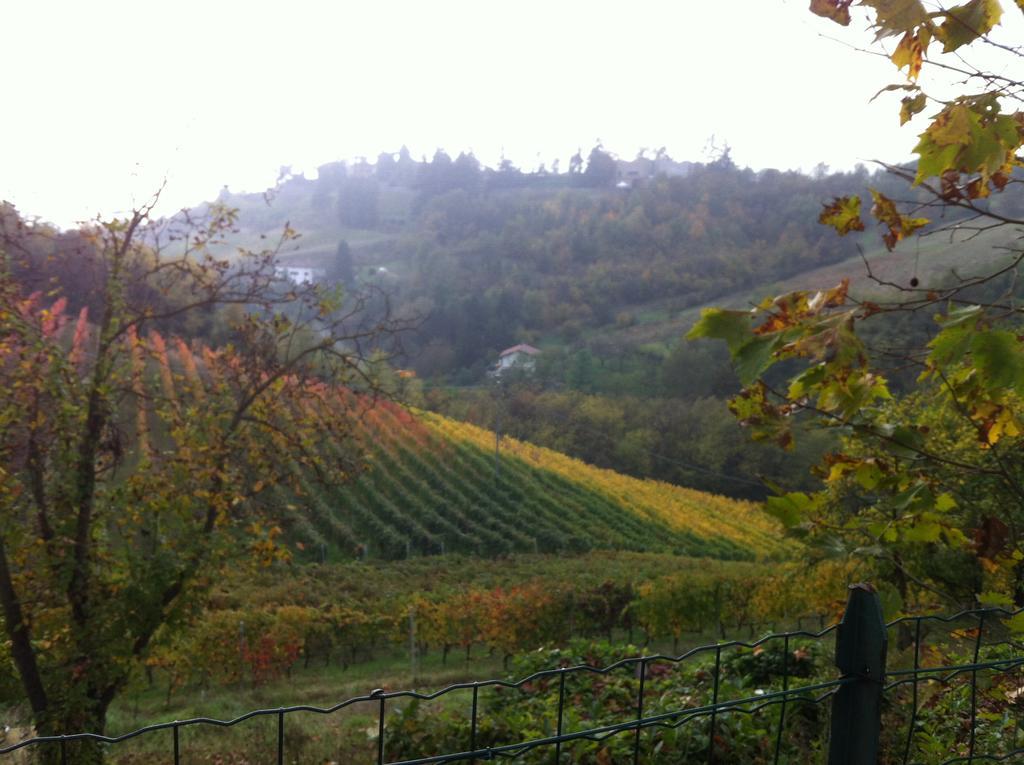 Agriturismo Costa Dei Platani Acqui Terme Dış mekan fotoğraf