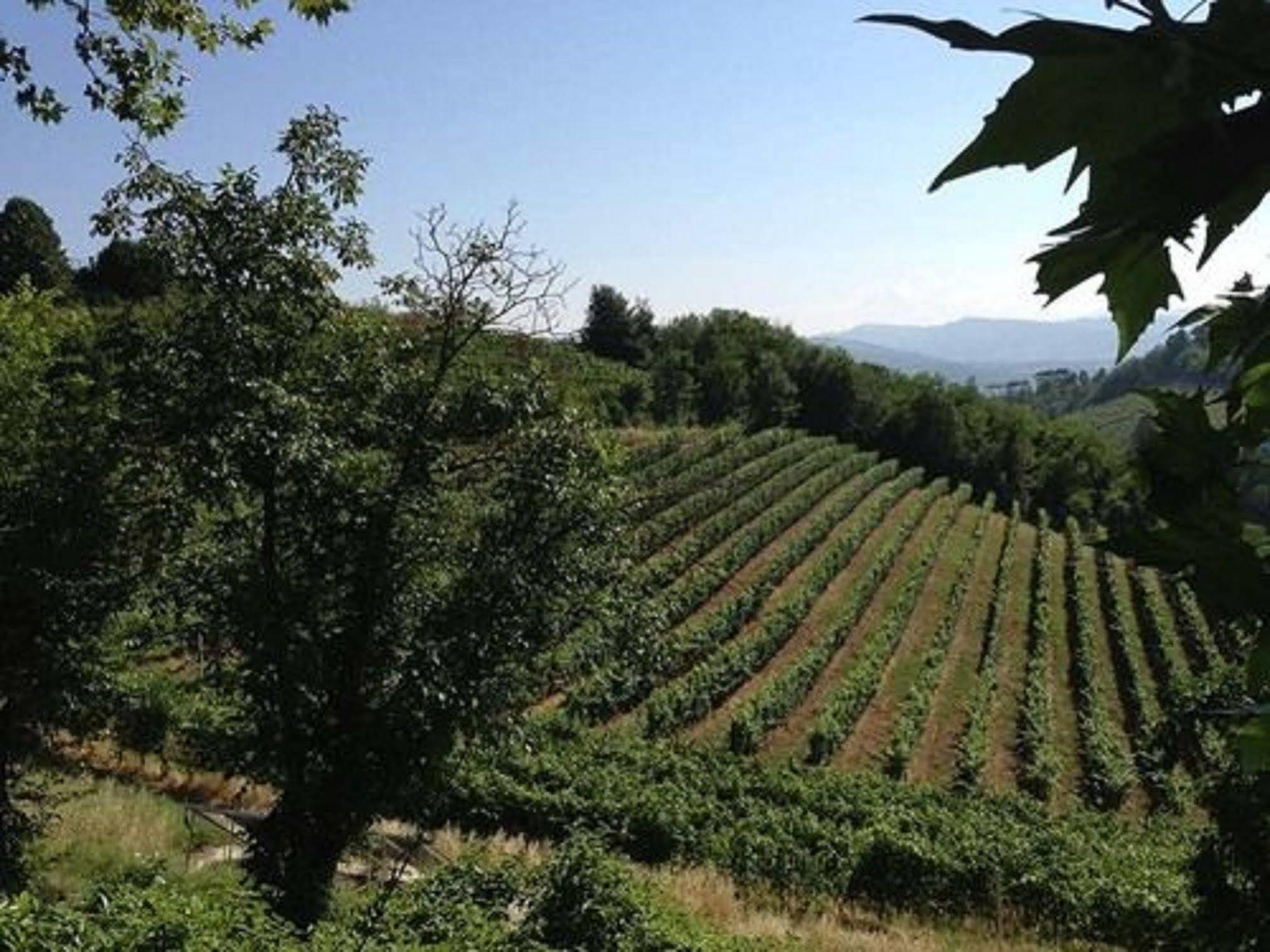 Agriturismo Costa Dei Platani Acqui Terme Dış mekan fotoğraf