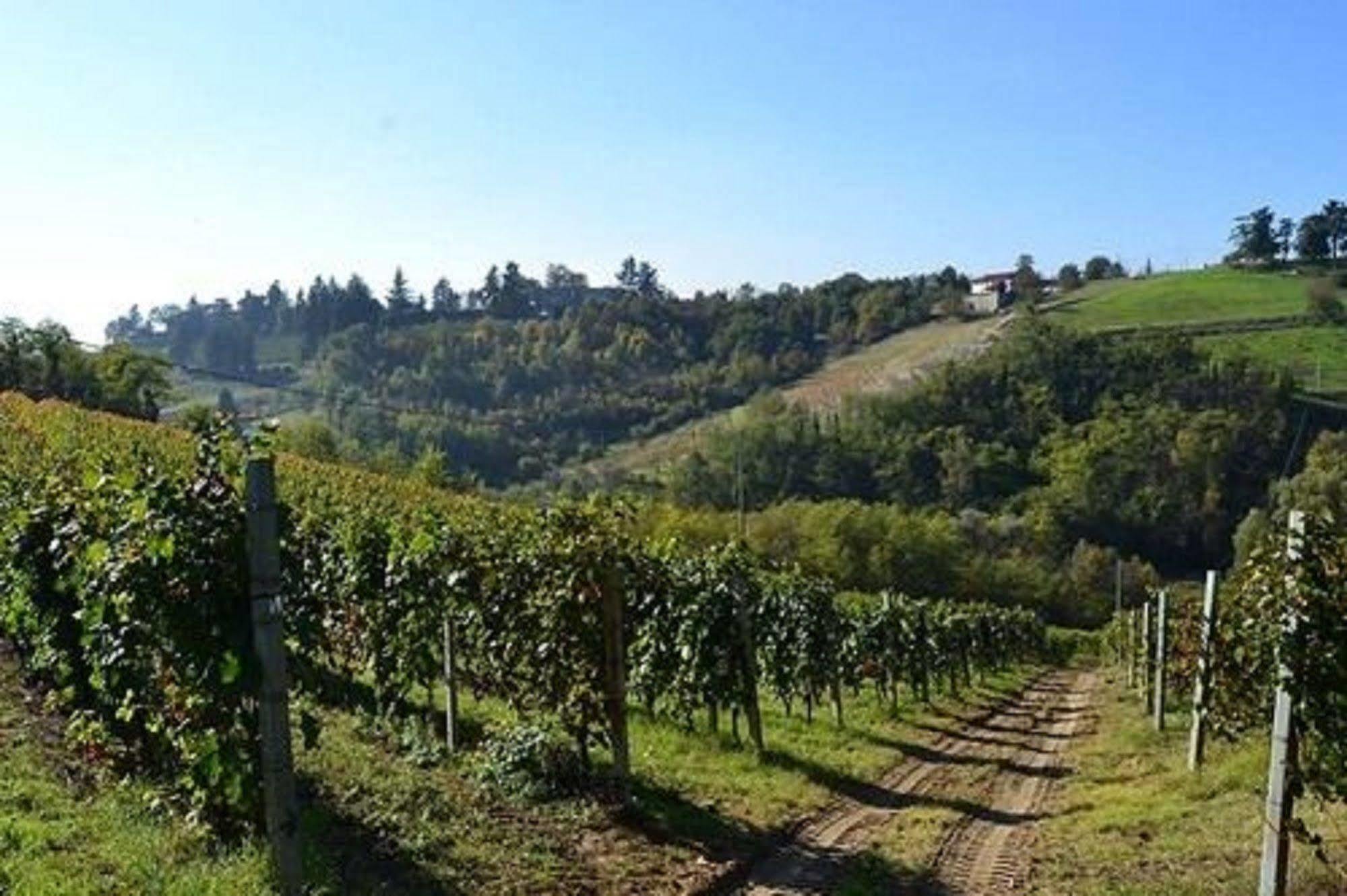 Agriturismo Costa Dei Platani Acqui Terme Dış mekan fotoğraf