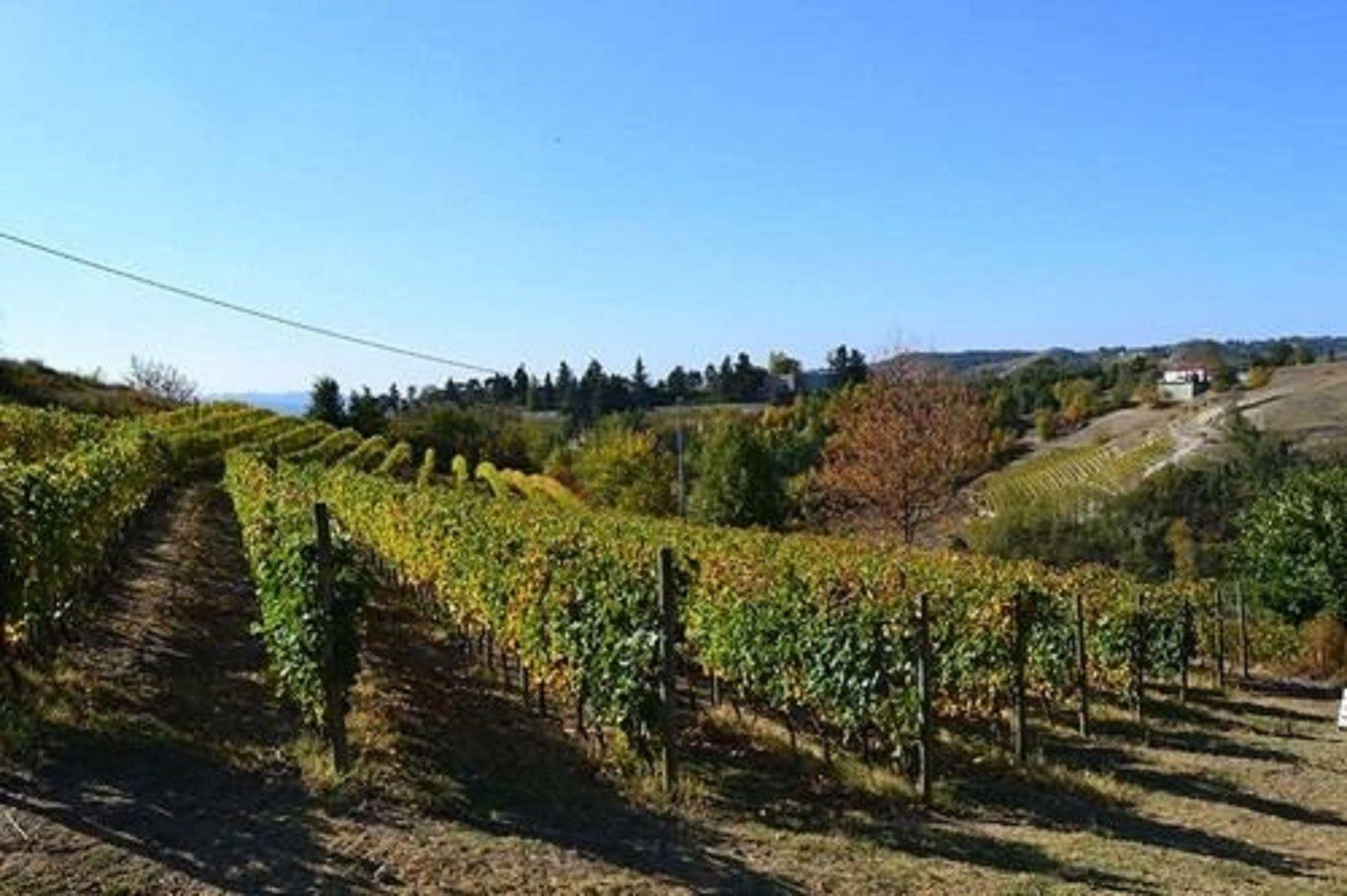 Agriturismo Costa Dei Platani Acqui Terme Dış mekan fotoğraf
