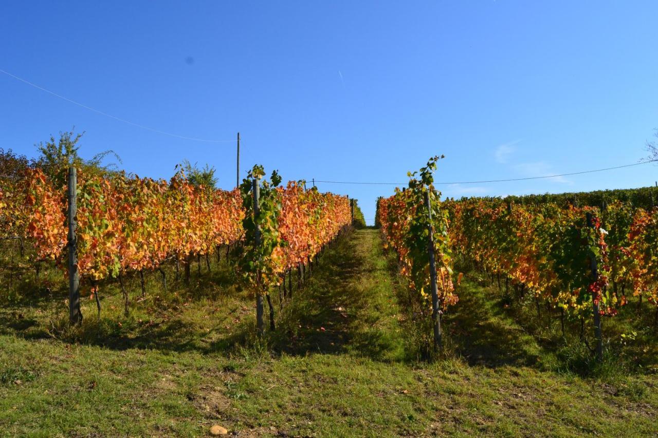 Agriturismo Costa Dei Platani Acqui Terme Dış mekan fotoğraf